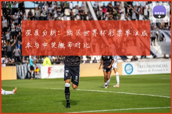 深度分析：购买世界杯彩票单注成本与中奖概率对比