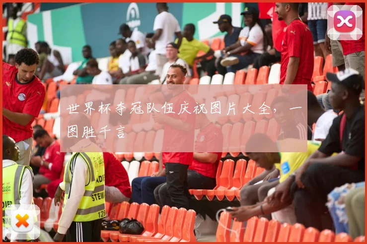 世界杯夺冠队伍庆祝图片大全，一图胜千言